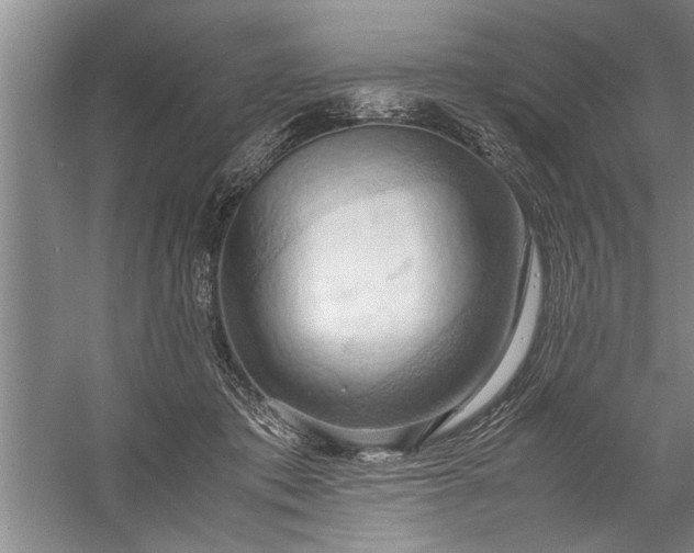 X0000057580413200509302143