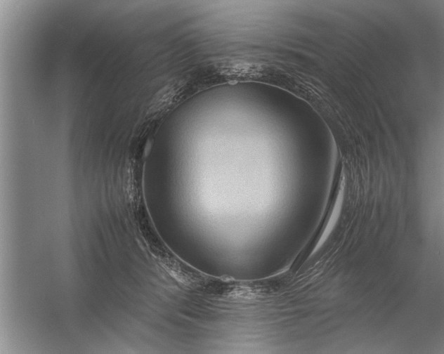 X0000057580416200509302143