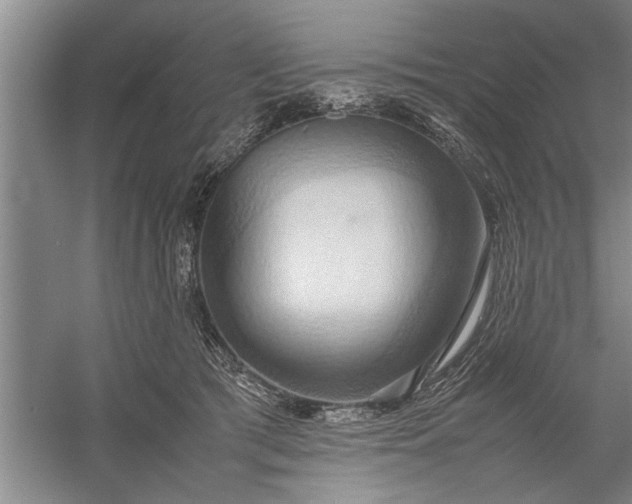X0000057580417200509302143