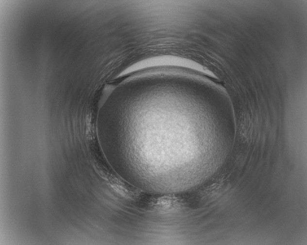 X0000057580420200509302143