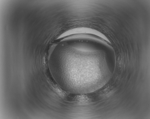 X0000057580424200509302143