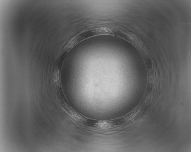 X0000057580425200509302143