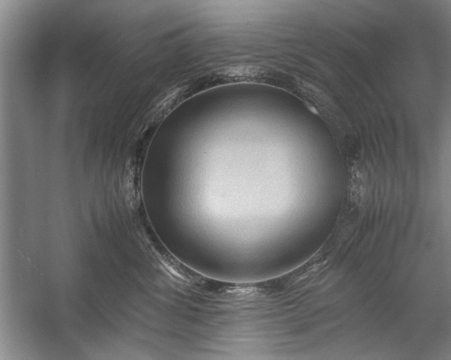 X0000057580428200509302143
