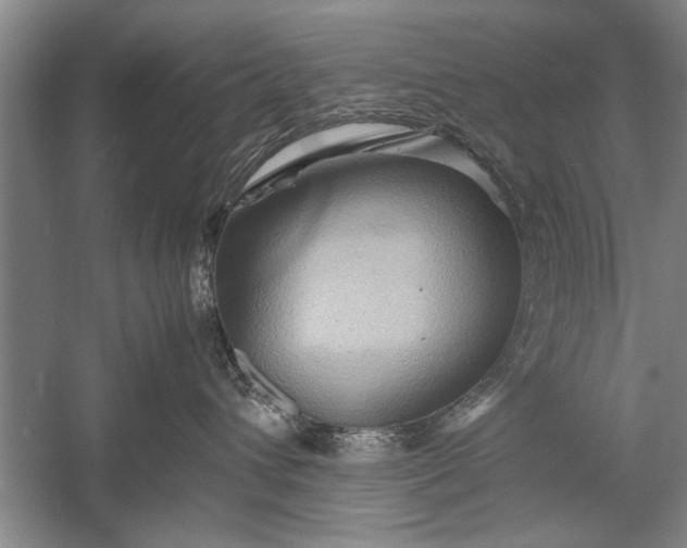 X0000057580432200509302143