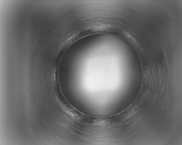 X0000057580454200509302142