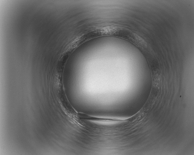 X0000057580456200509302142