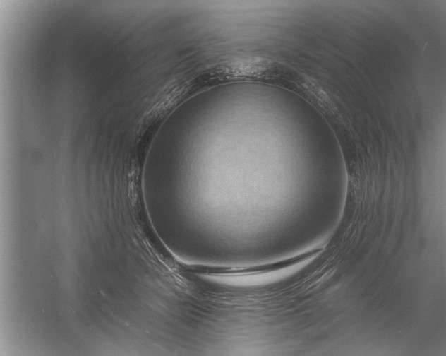 X0000057580462200509302142