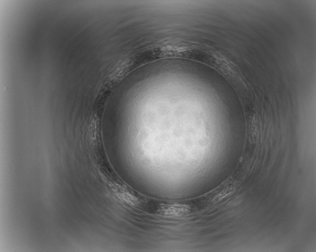 X0000057580463200509302142
