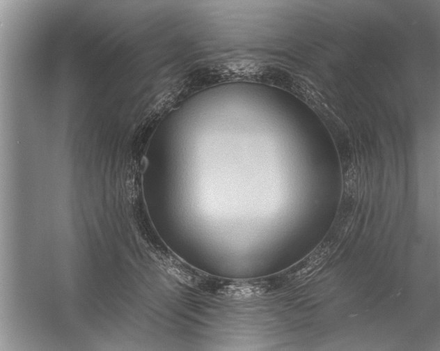 X0000057580464200509302142