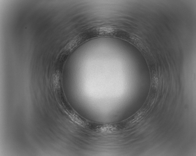 X0000057580468200509302142