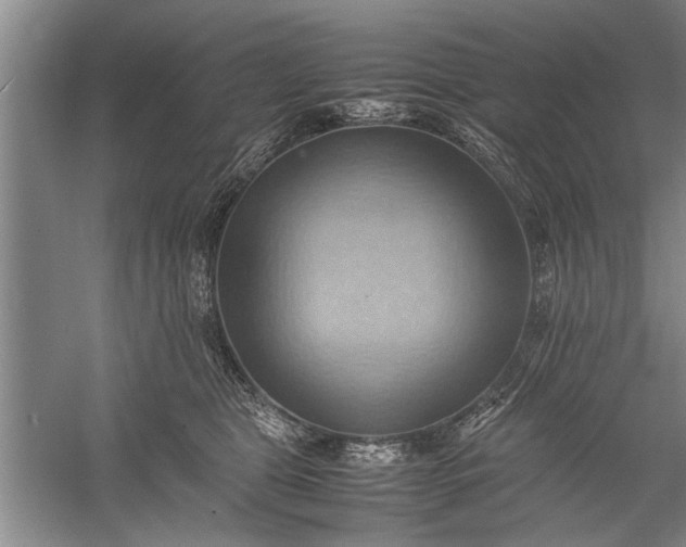 X0000057580469200509302142