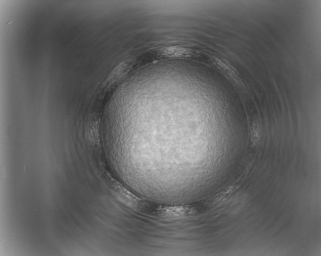 X0000057580473200509302142