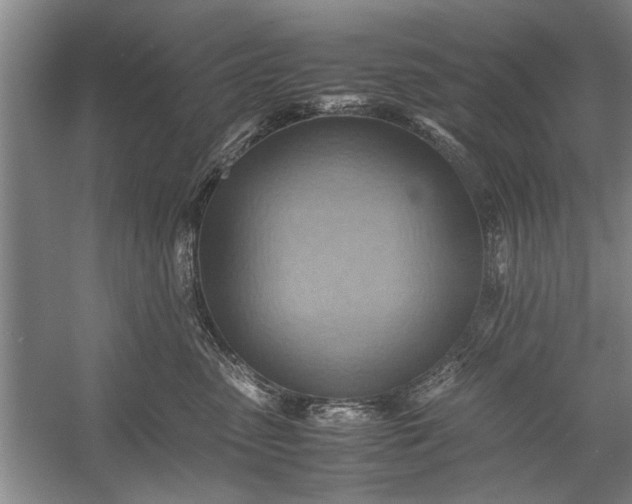 X0000057580475200509302142