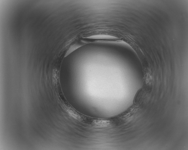 X0000057580476200509302142