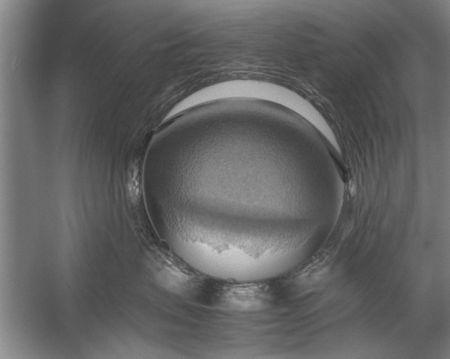 X0000057580479200509302142