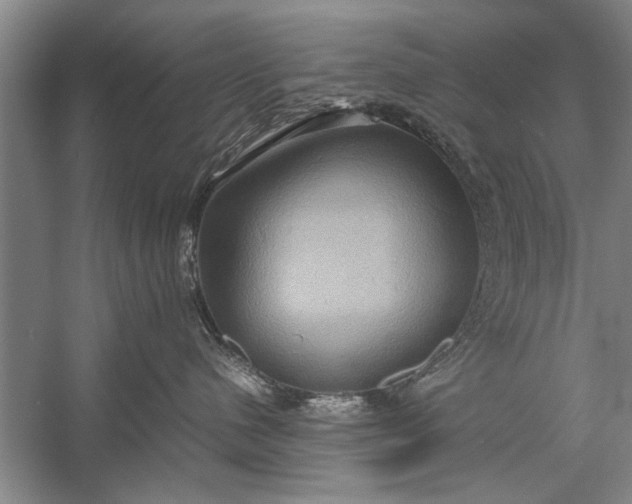 X0000057580480200509302143