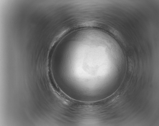 X0000057580486200509302142