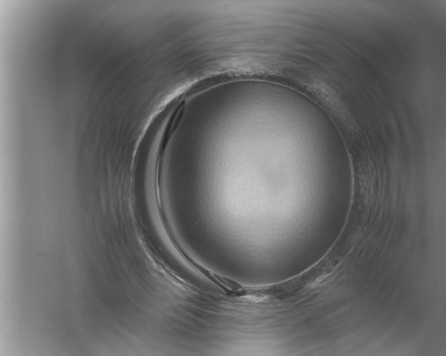 X0000057580488200509302142