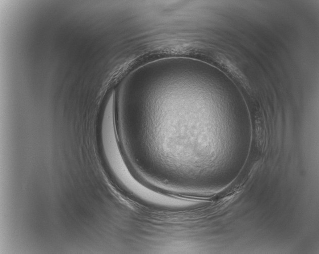 X0000057580493200509302141