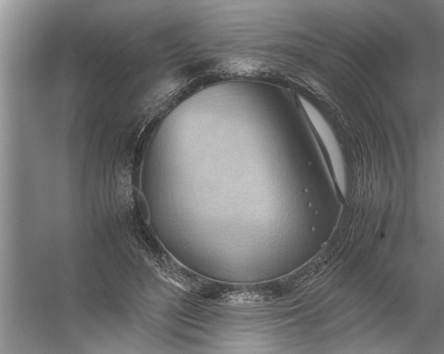 X0000057580500200509302141