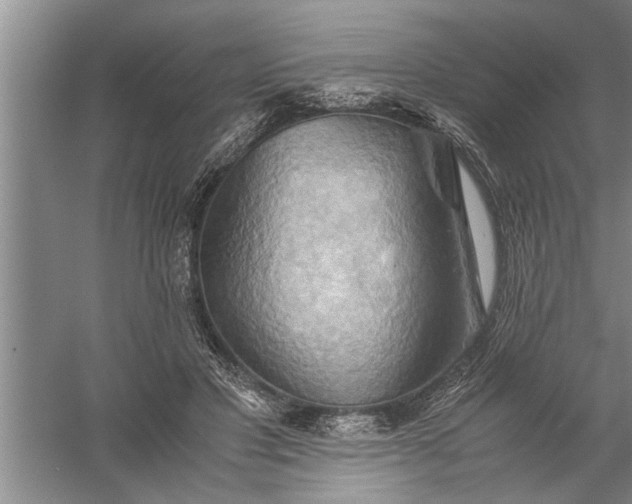 X0000057580501200509302141