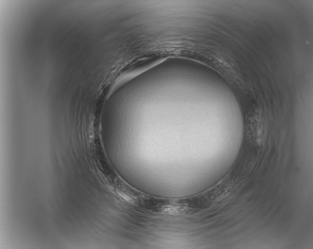 X0000057580504200509302141