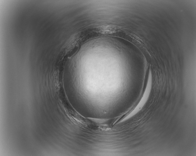 X0000057580512200509302141