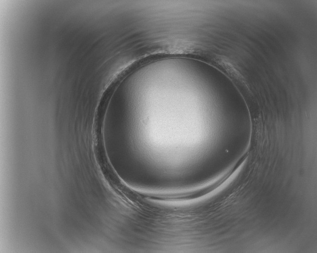 X0000057580536200509302140