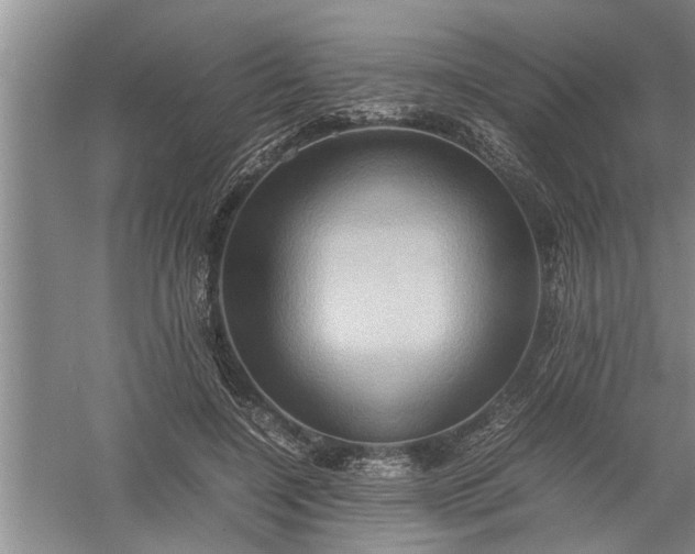 X0000057580548200509302140