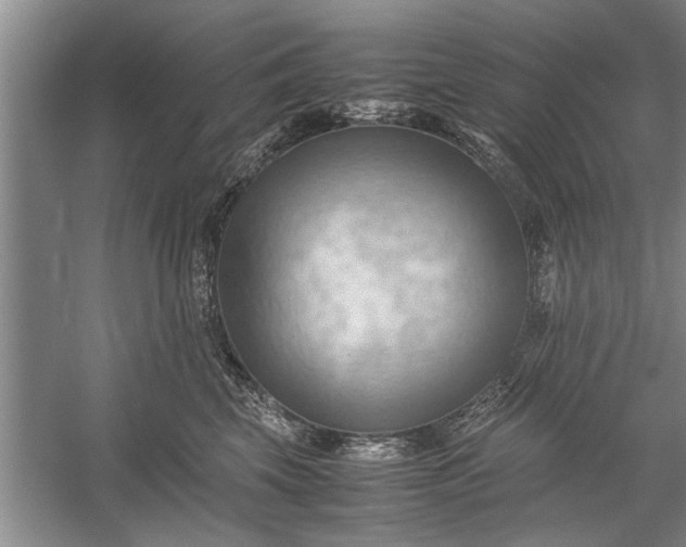 X0000057580569200509302141