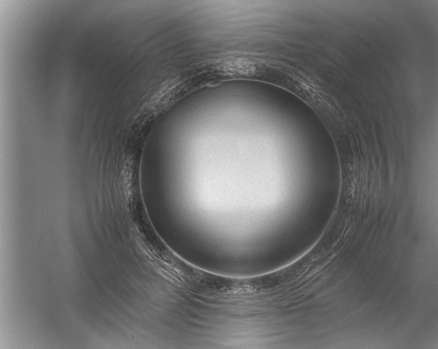 X0000057580600200509302140