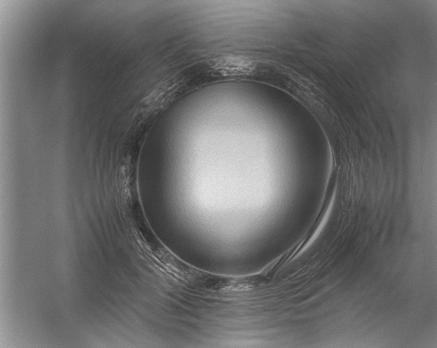 X0000057580604200509302140