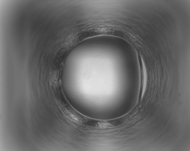 X0000057580605200509302140
