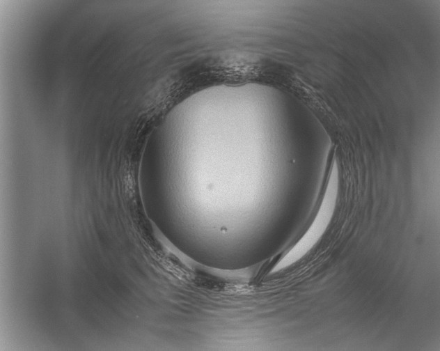 X0000057580613200509302139