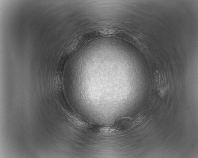 X0000057580614200509302139