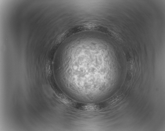 X0000057580615200509302139