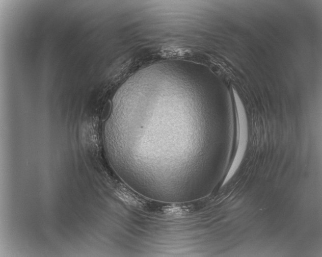 X0000057580616200509302139