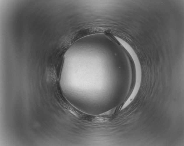 X0000057580617200509302139