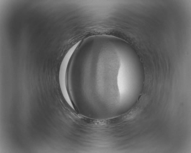 X0000057580624200509302139