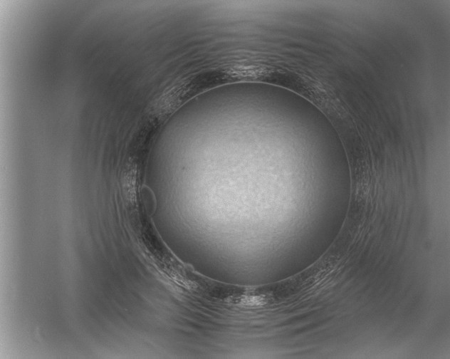 X0000057580647200509302139