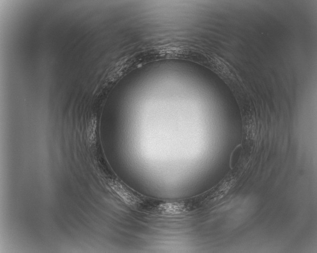 X0000057580660200509302139