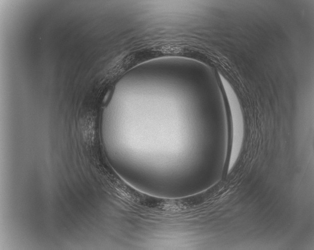 X0000057580697200509302138