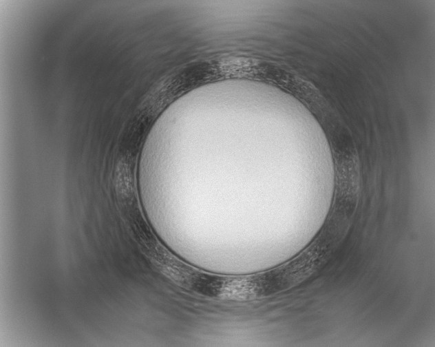 X0000057580705200509302138