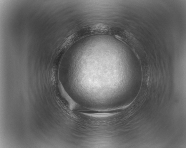 X0000057580708200509302138