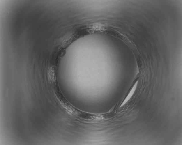 X0000057580715200509302138