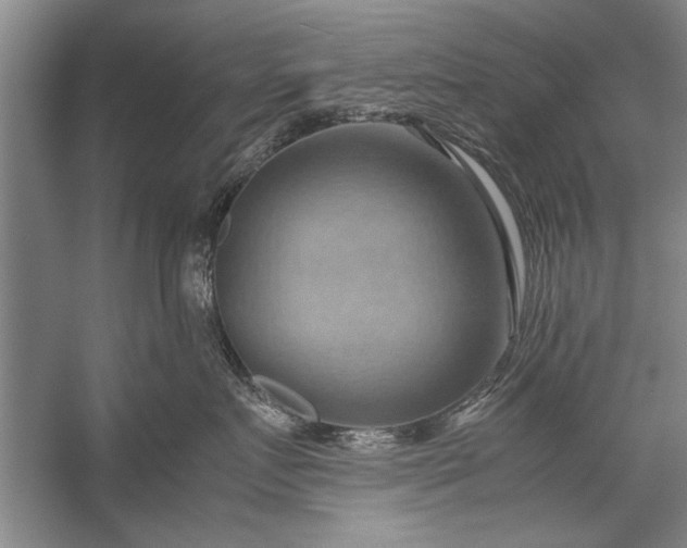 X0000057580719200509302138