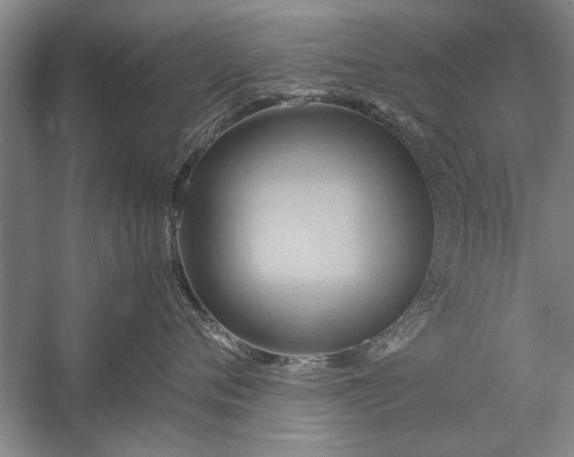 X0000057580720200509302138