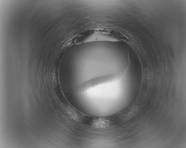 X0000057580754200509302137