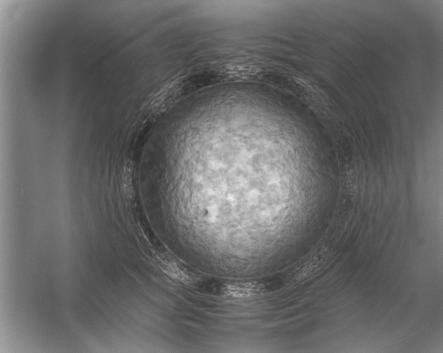 X0000057580757200509302137