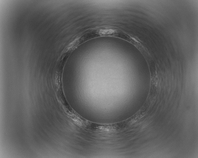 X0000057580763200509302138